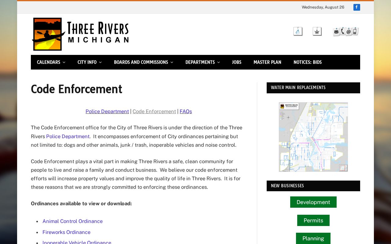 Three Rivers court records routing context from official police and code-enforcement information